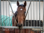 HC240925-107 - Rousham